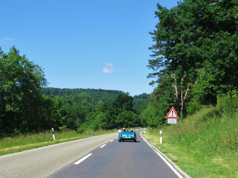 ZONDAG 16-6-2013 (104).JPG